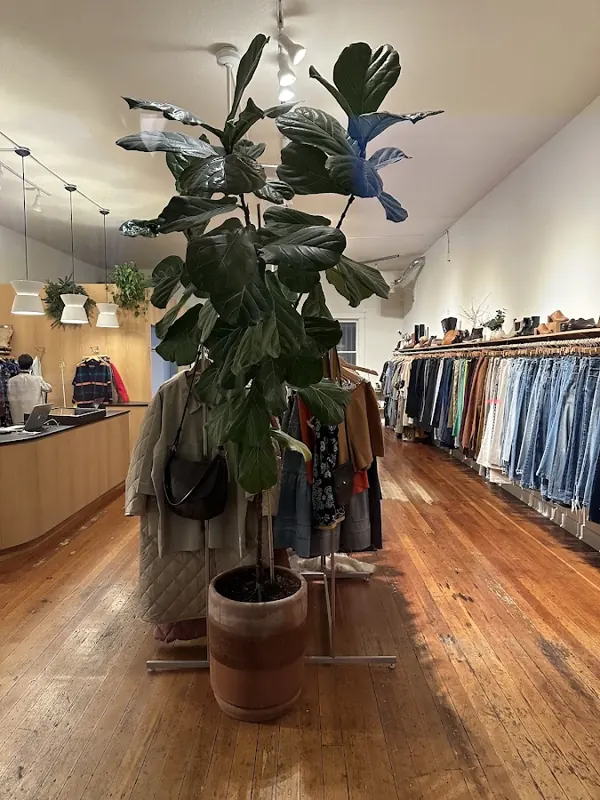 Deep Lake, 2707 SE Belmont St, inside
